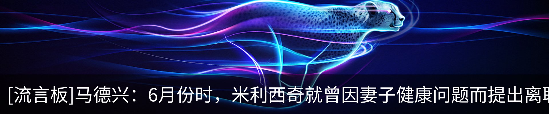 新闻动态